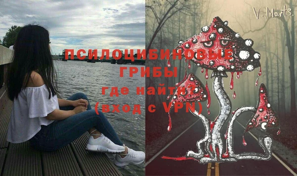 соль ск Коряжма