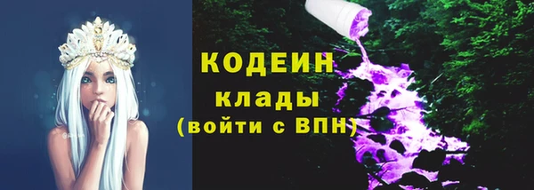 соль ск Коряжма