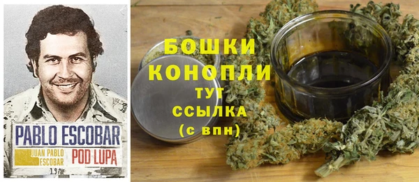 мдпв Корсаков