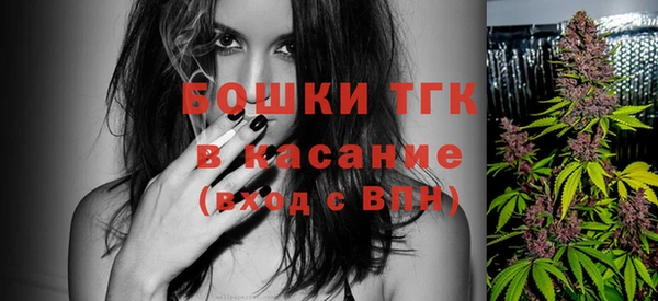 мдпв Корсаков