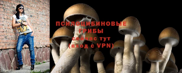 мдпв Корсаков
