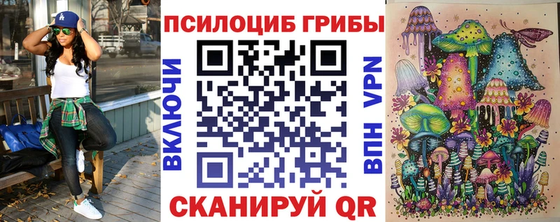 Купить закладки Ессентукская Галлюциногенные грибы MAGIC MUSHROOMS